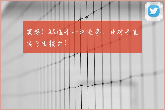 震撼!XX选手一记重拳,让对手直接飞出擂台!