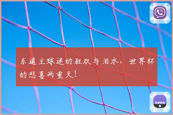 东道主球迷的狂欢与泪水，世界杯的悲喜两重天！