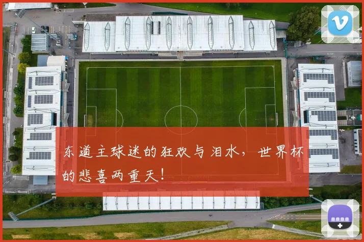 东道主球迷的狂欢与泪水,世界杯的悲喜两重天!